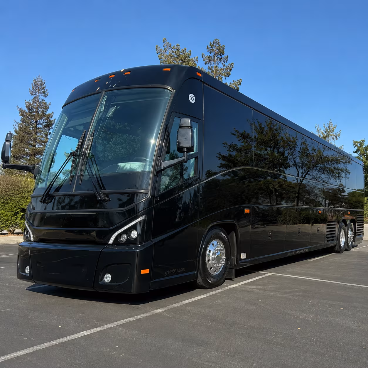 spring break and theme park group trips from palm beach county